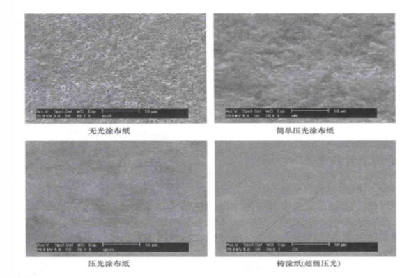 四種紙的光澤度比較